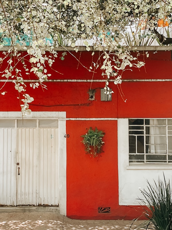 Tijuana Mexico vibrant street scene culture