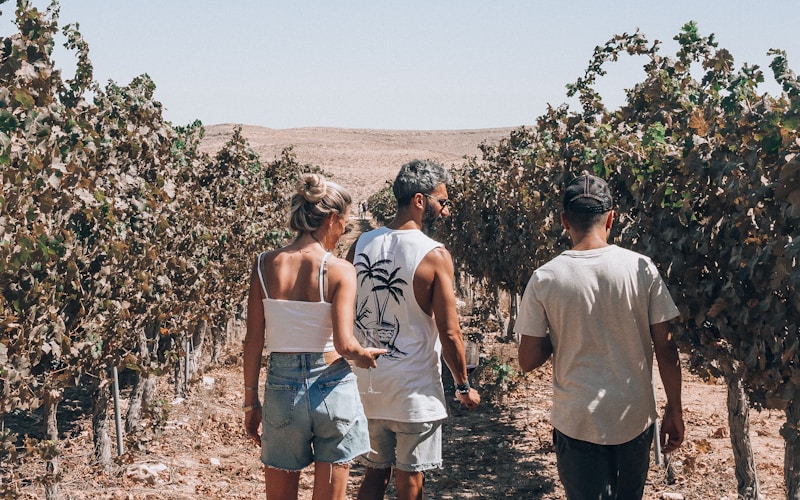 Romantic couple wine experience Baja California – private transport